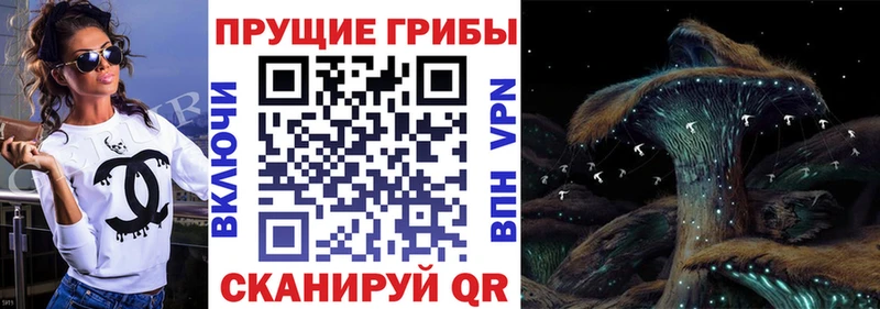 Галлюциногенные грибы GOLDEN TEACHER  Каневская 